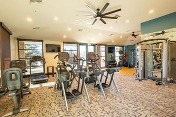 A gym with a variety of equipment including treadmills, weights, and a squat rack.